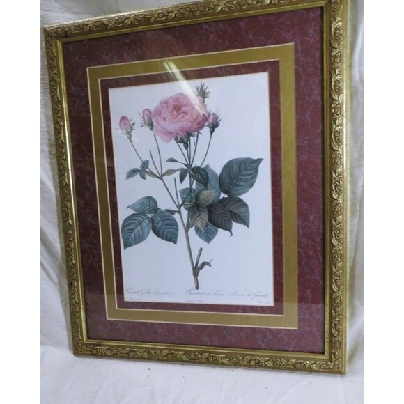 P. J. Redouté Rosa Gallica Granatus Botanical Double Matted Framed Art Print - Picture 3 of 5